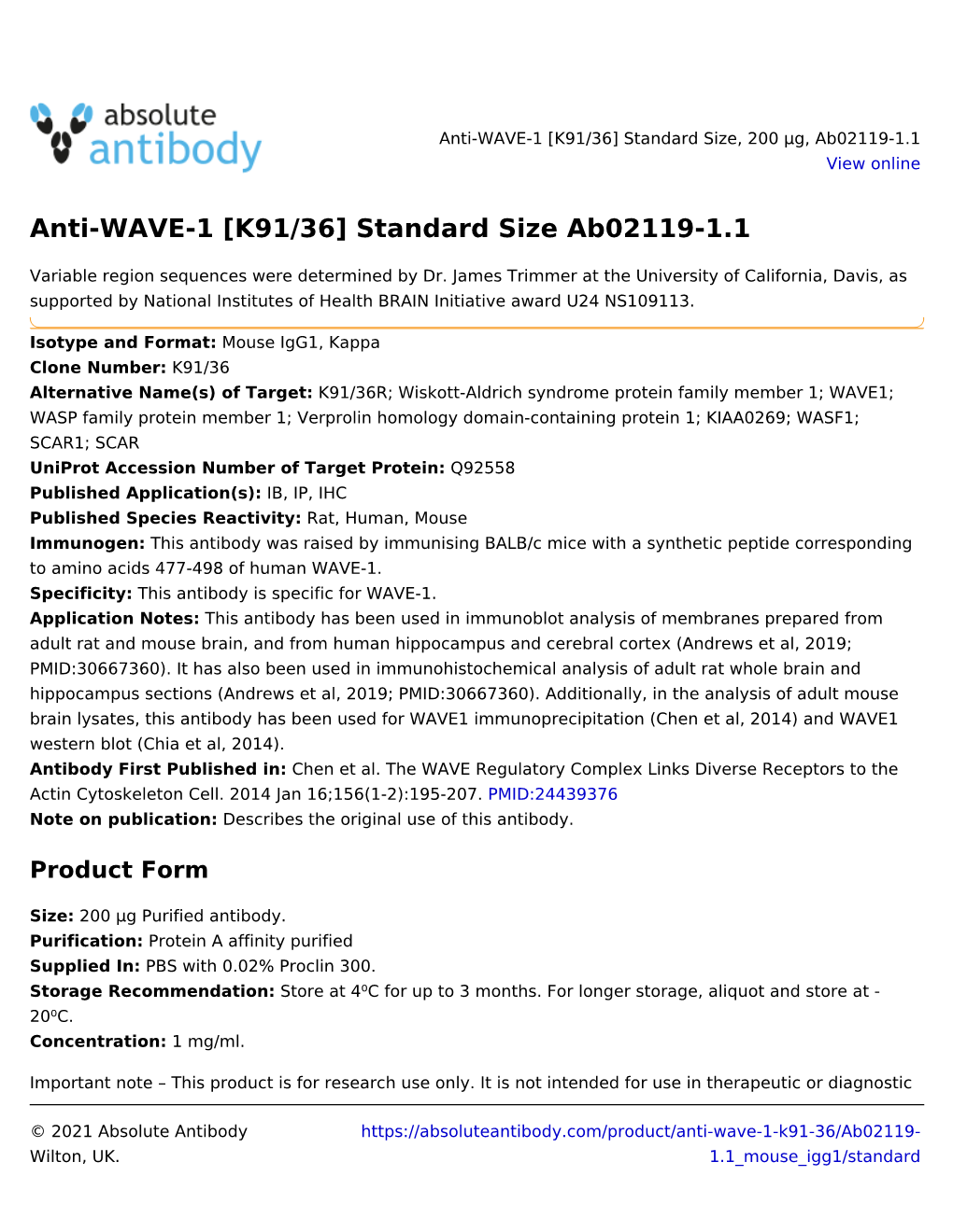 Anti-WAVE-1 [K91/36] Standard Size Ab02119-1.1