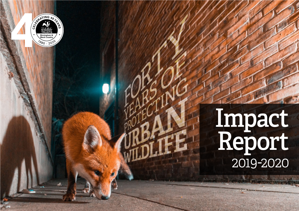 19-20 Digital Impact Report.Pdf