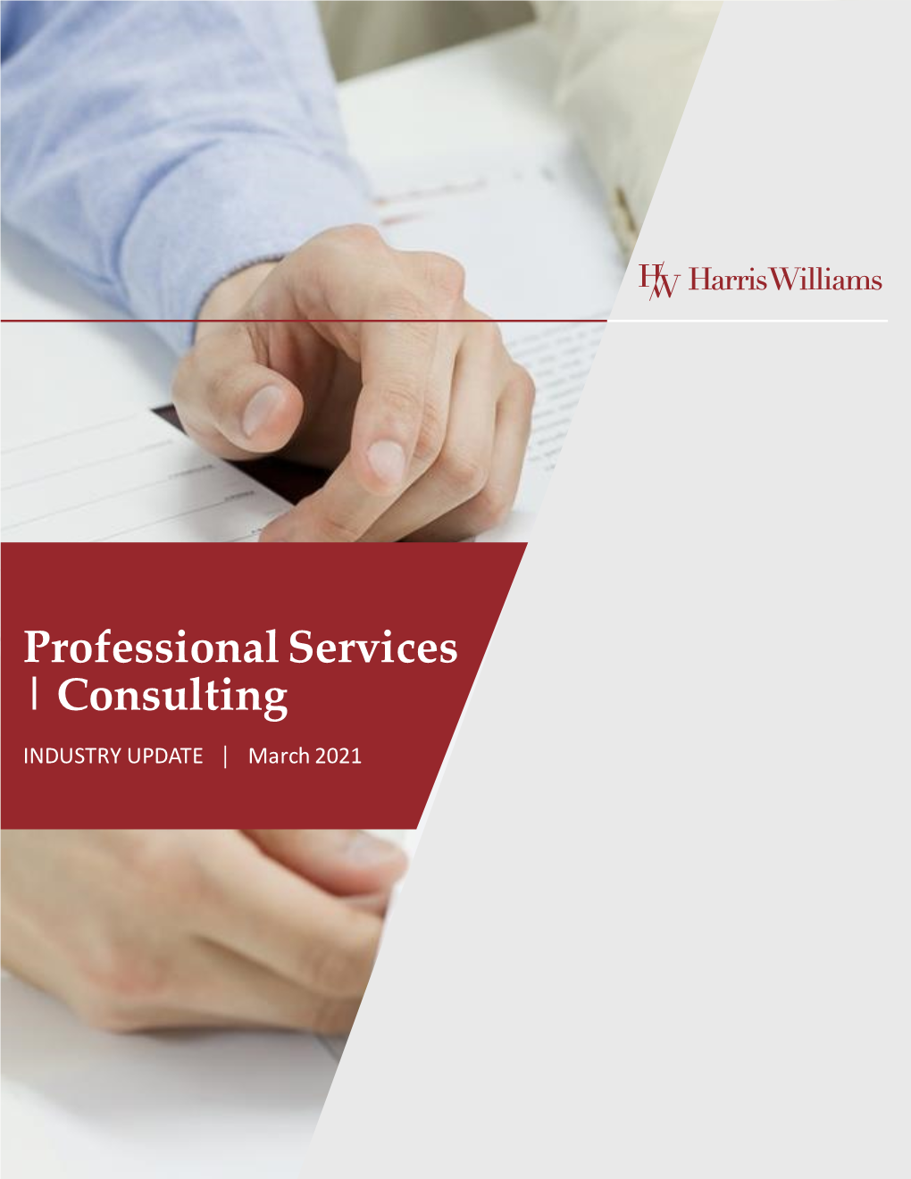 Professional Services | Consulting INDUSTRY UPDATE │ March 2021 Professional Services / Consulting Practice Overview