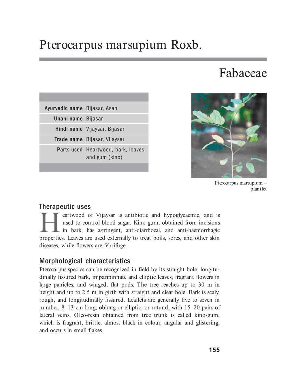 Pterocarpus Marsupium Roxb. Fabaceae