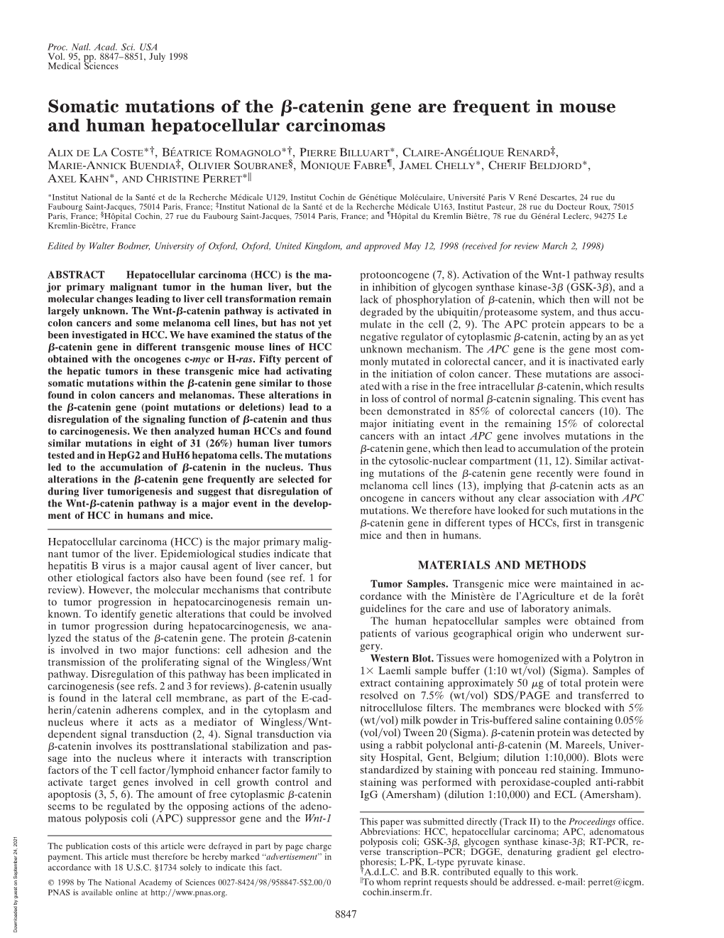 Somatic Mutations of the ß-Catenin Gene Are Frequent in Mouse And