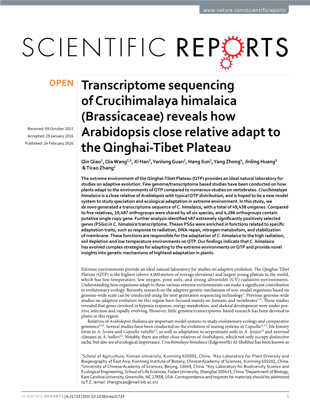Transcriptome Sequencing of Crucihimalaya Himalaica