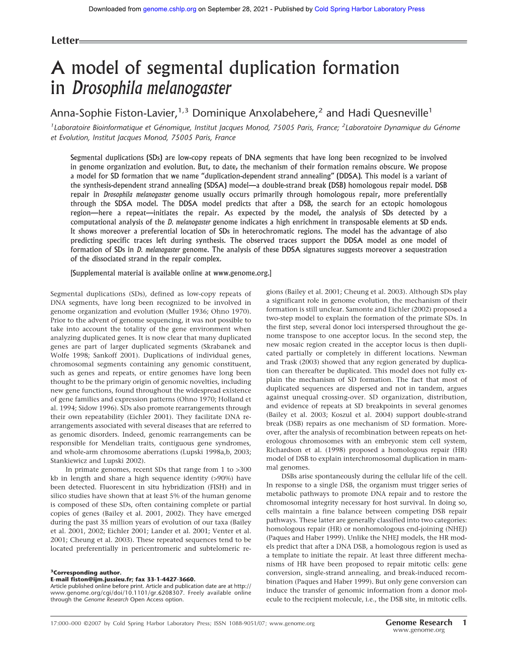 A Model of Segmental Duplication Formation in Drosophila Melanogaster