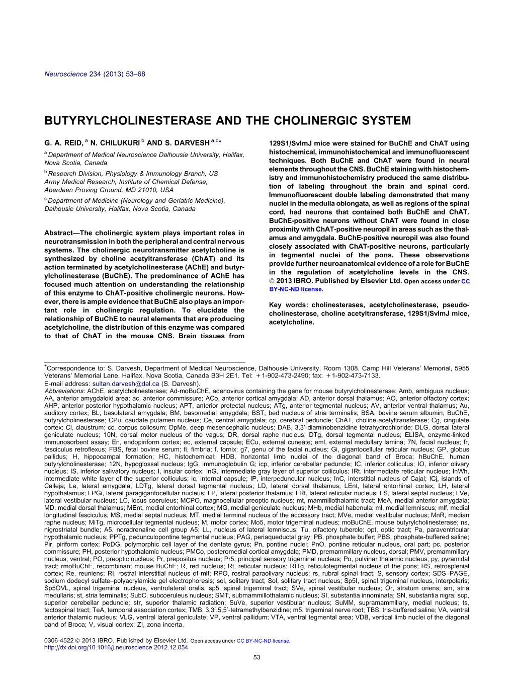 Butyrylcholinesterase and the Cholinergic System