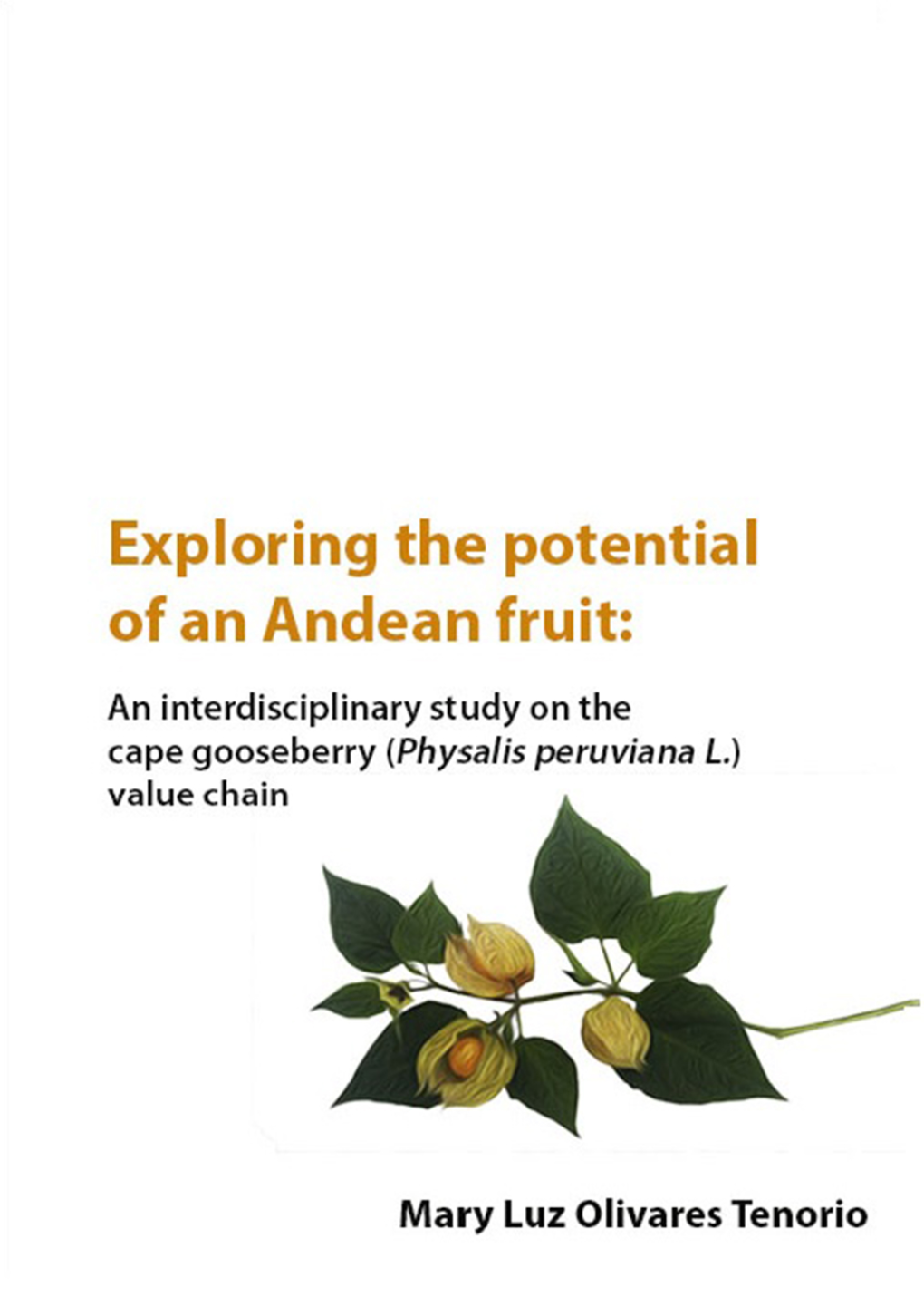 An Interdisciplinary Study on the Cape Gooseberry (Physalis Peruviana L.) Value Chain