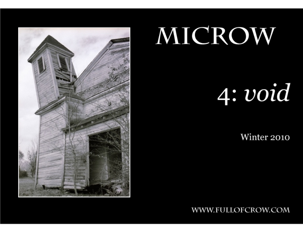 Microw Winter 2010 VOID