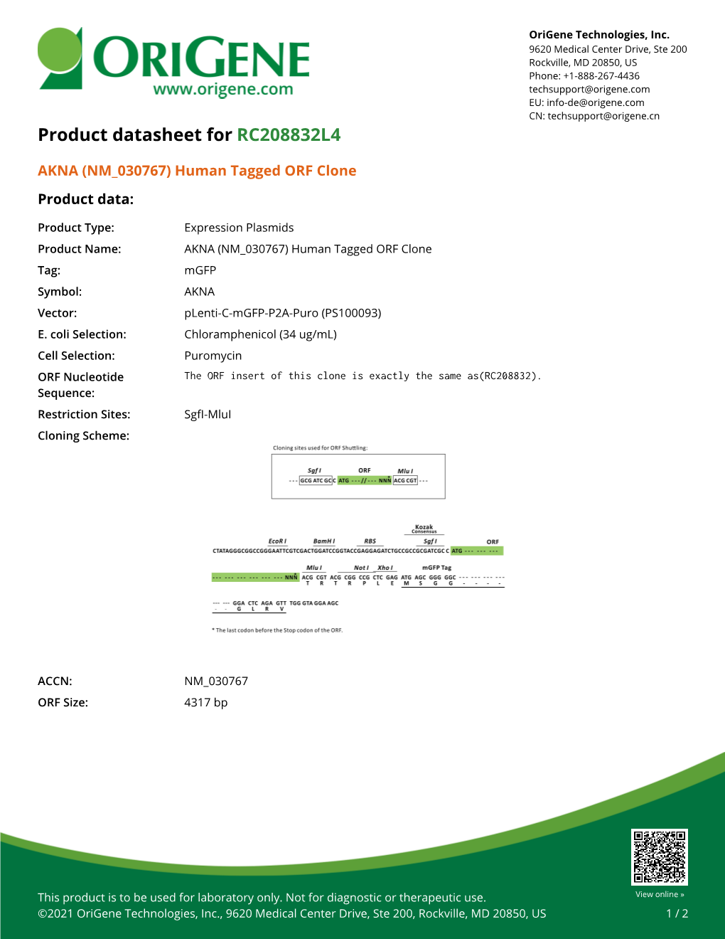 AKNA (NM 030767) Human Tagged ORF Clone – RC208832L4 | Origene