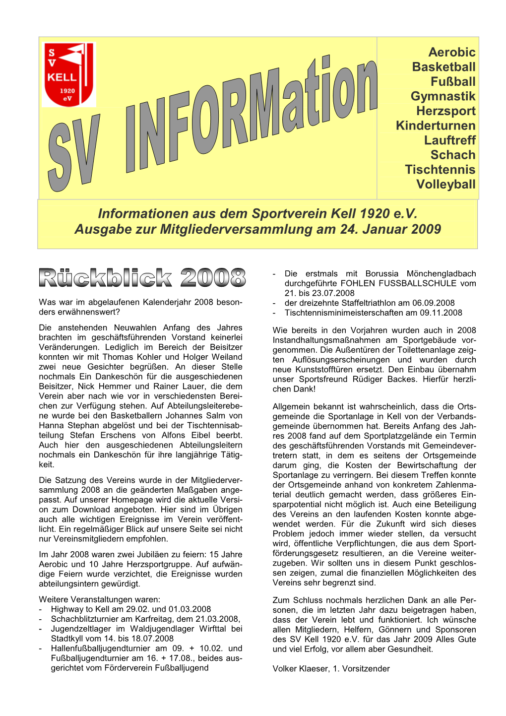 SVINFORM 1 2009 Internet