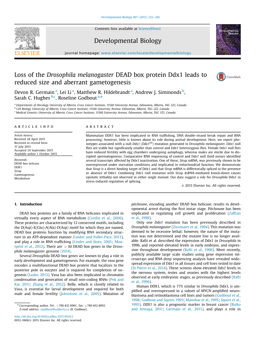 Loss of the Drosophila Melanogaster DEAD Box Protein Ddx1 Leads to Reduced Size and Aberrant Gametogenesis