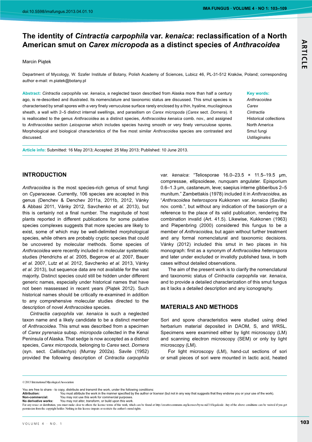 AR TICLE the Identity of Cintractia Carpophila Var