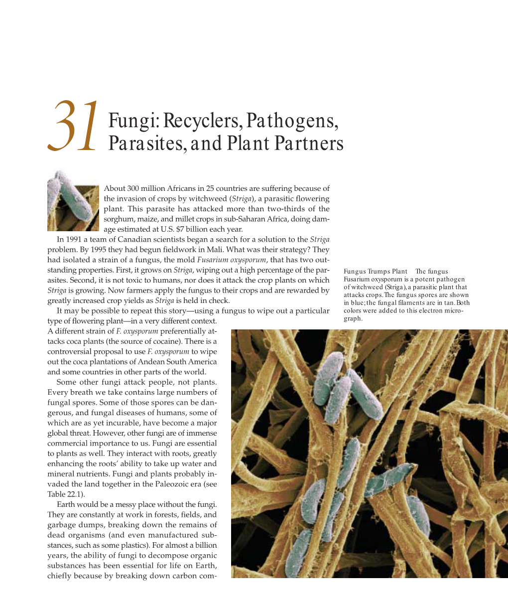 Fungi: Recyclers, Pathogens, 31 Parasites, and Plant Partners