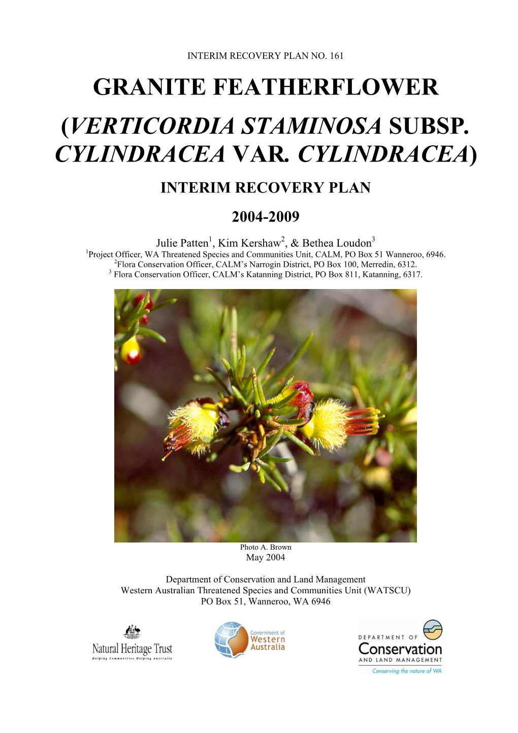 Verticordia Staminosa Subsp. Cylindracea Var. Cylindracea296.14