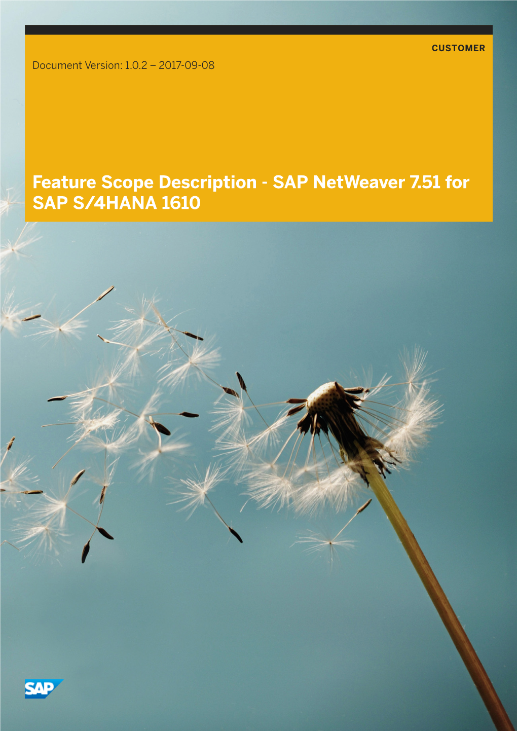 SAP Netweaver 7.51 for SAP S/4HANA 1610 Content