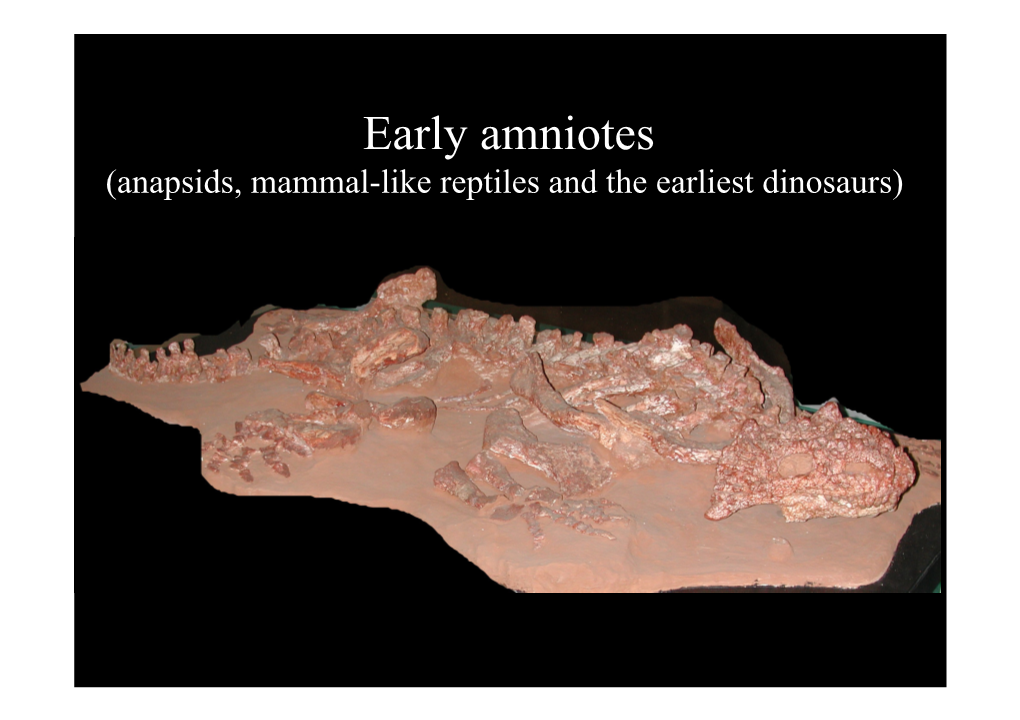 03 Dino-Mammal Like Reptile.Pdf