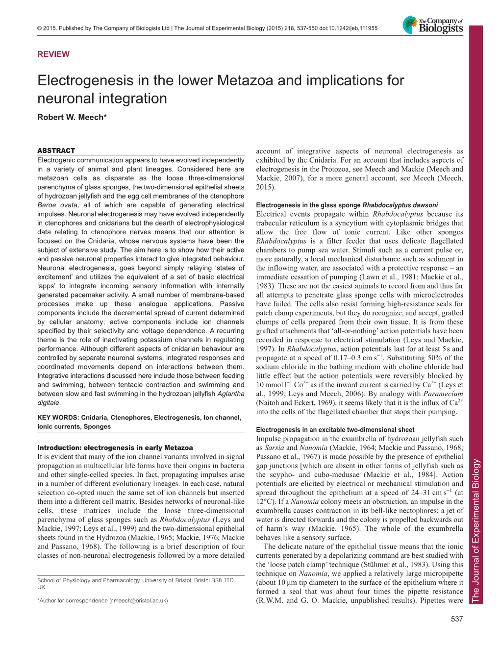 Electrogenesis in the Lower Metazoa and Implications for Neuronal