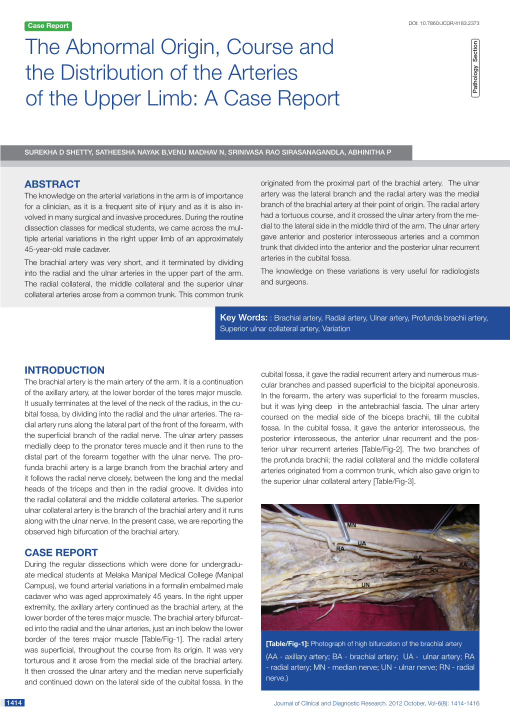 The Abnormal Origin, Course and the Distribution of the Arteries of the Upper Limb: a Case Report Pathology Section