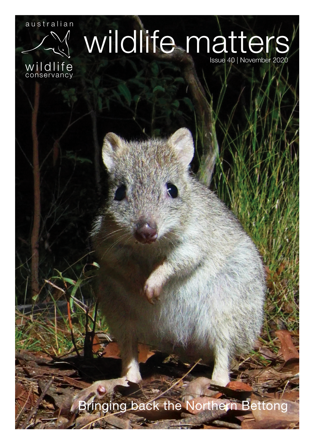 Wildlife Matters Issue 40 | November 2020