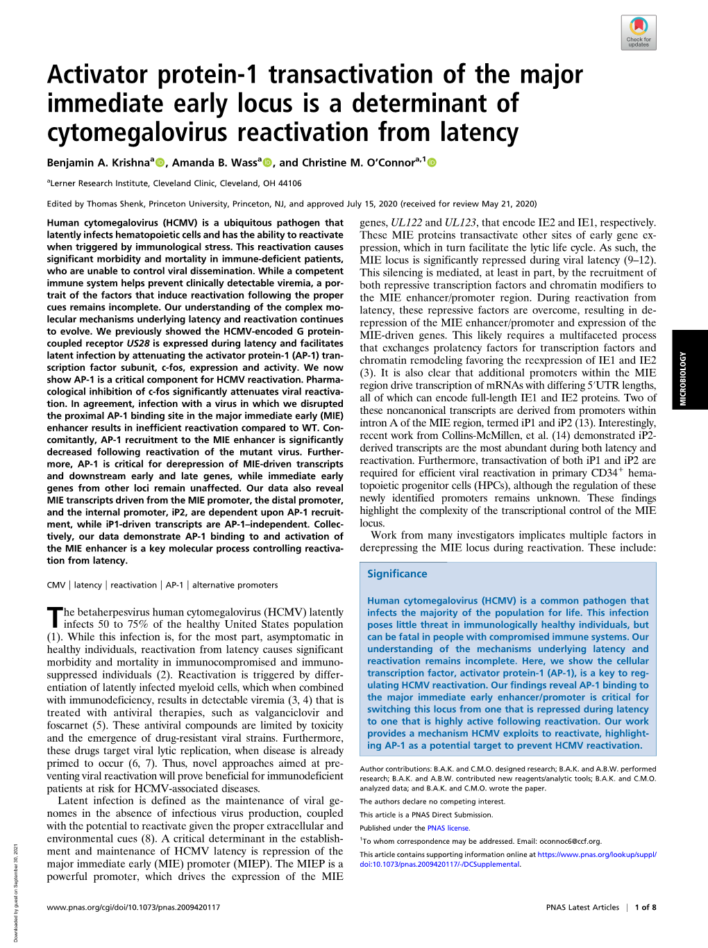 Activator Protein-1 Transactivation of the Major Immediate Early Locus Is a Determinant of Cytomegalovirus Reactivation from Latency