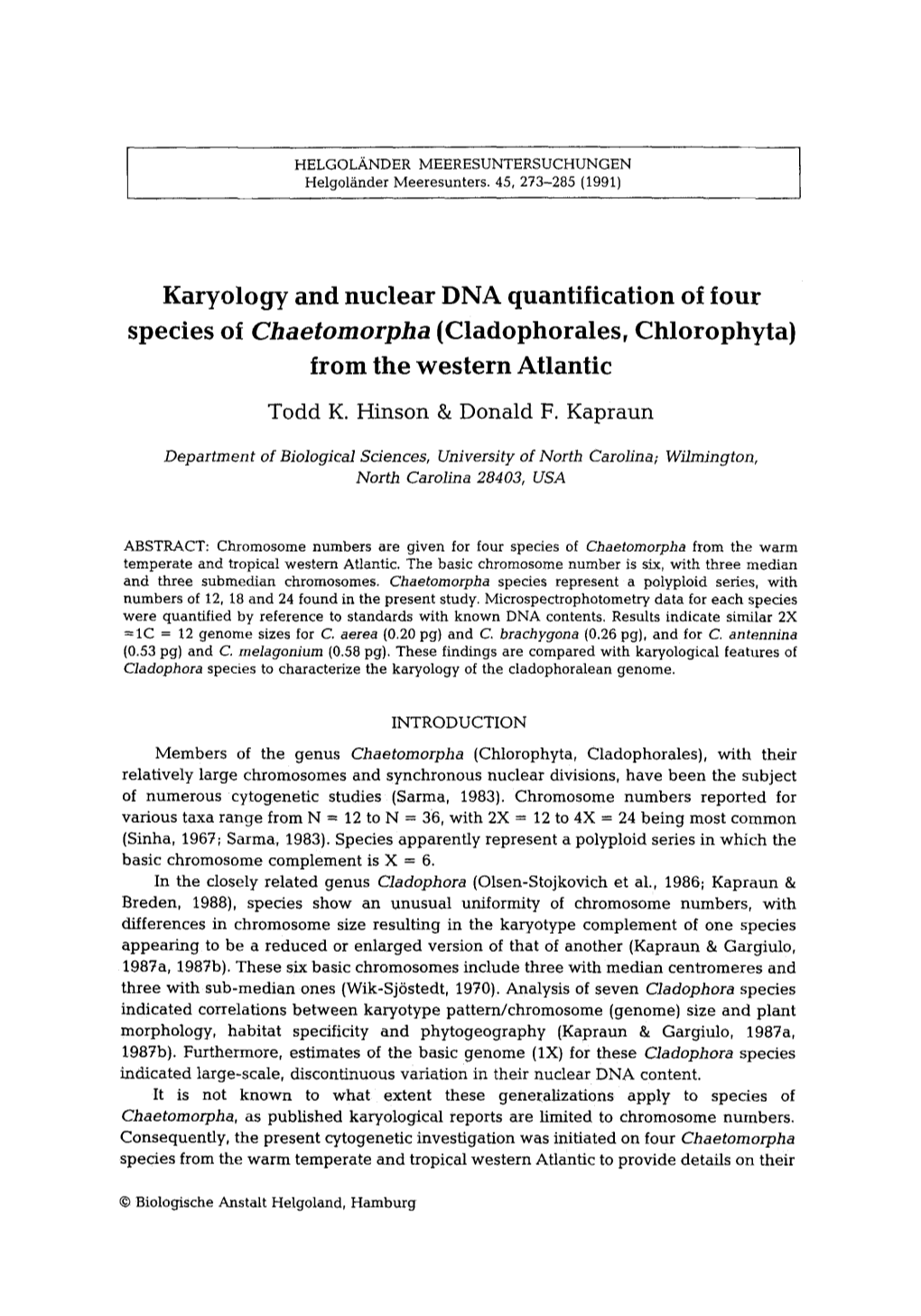 Chaetomorpha (Cladophorales, Chlorophyta) from the Western Atlantic