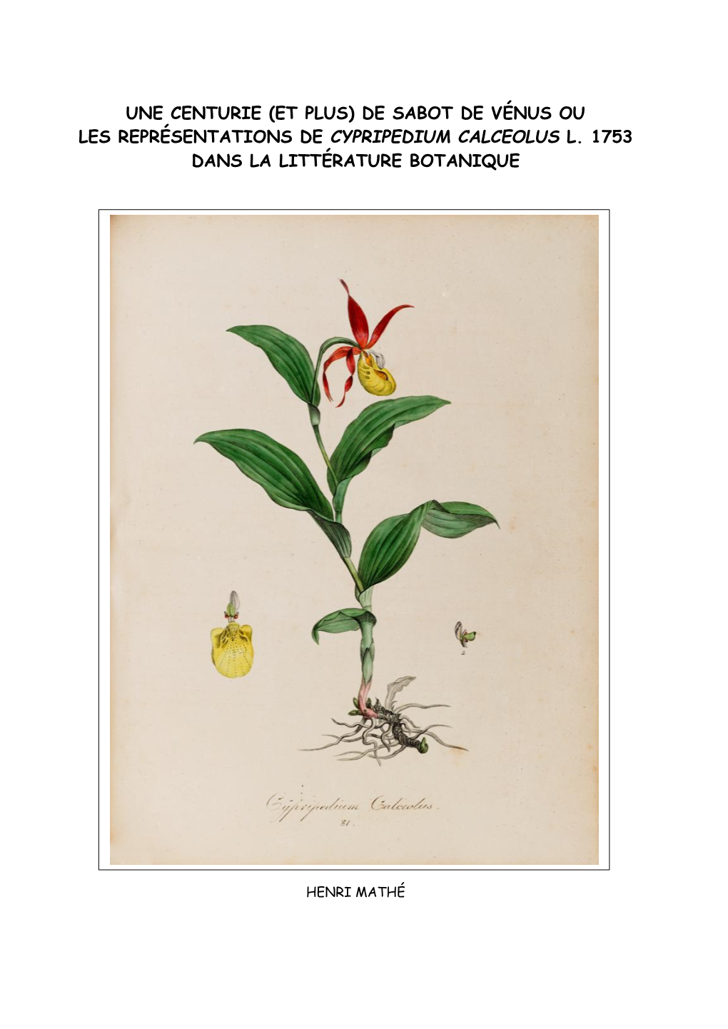 (Et Plus) De Sabot De Vénus Ou Les Représentations De Cypripedium Calceolus L