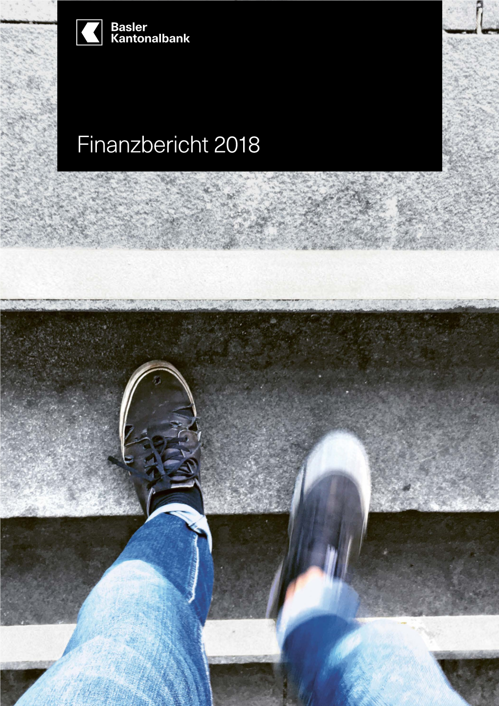Finanzbericht 2018