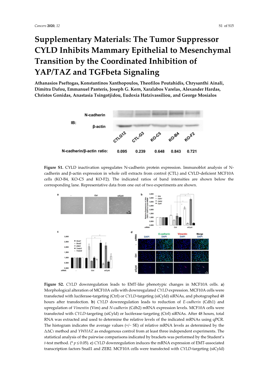 The Tumor Suppressor CYLD Inhibits Mammary Epithelial to Mesenchymal Transition by the Coordinated Inhi