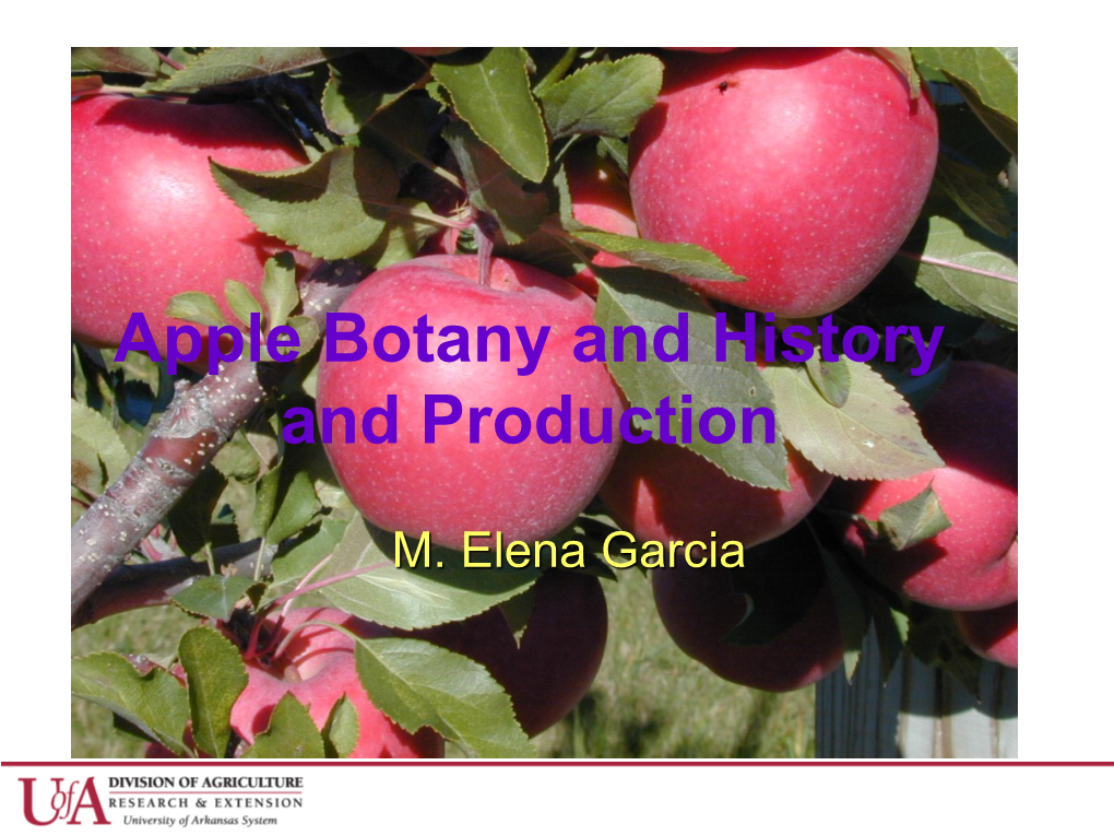 Apple Botany and History and Production