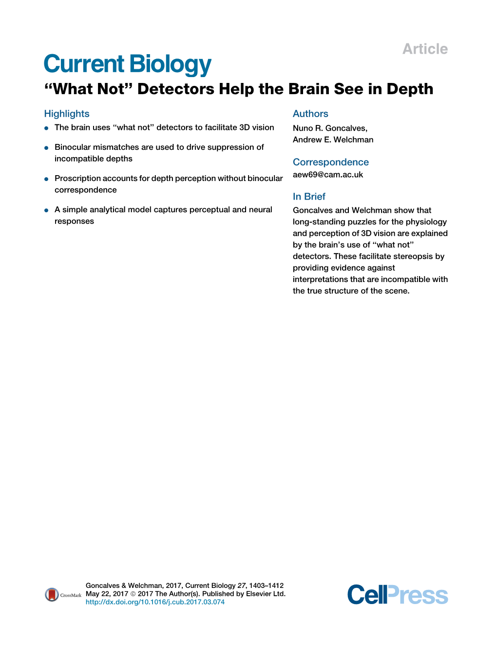 Detectors Help the Brain See in Depth
