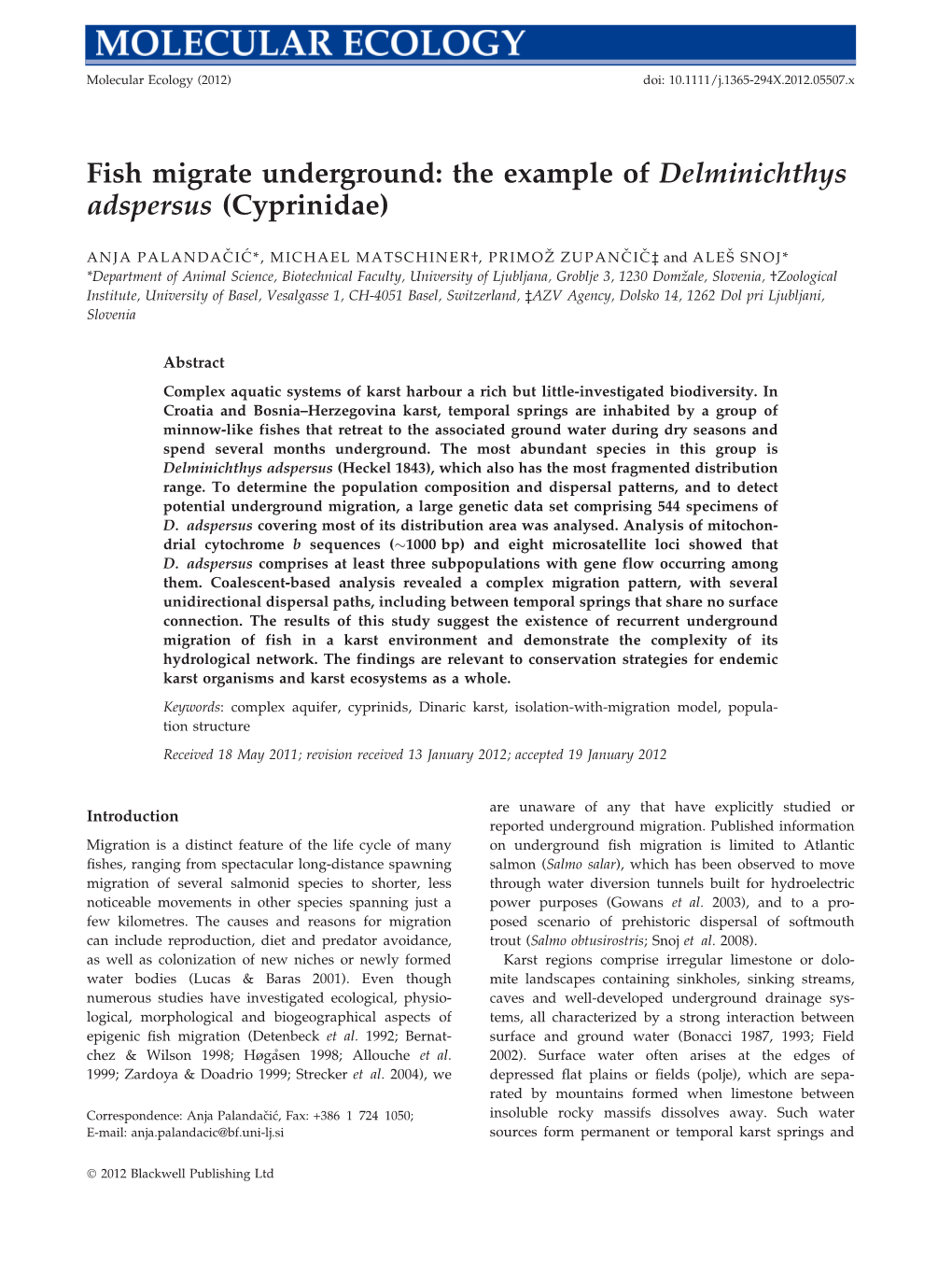 Fish Migrate Underground: the Example of Delminichthys Adspersus (Cyprinidae)