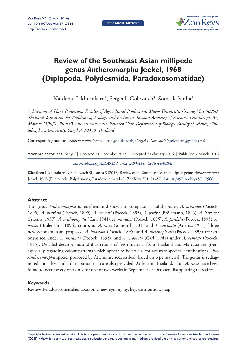 Diplopoda, Polydesmida, Paradoxosomatidae)