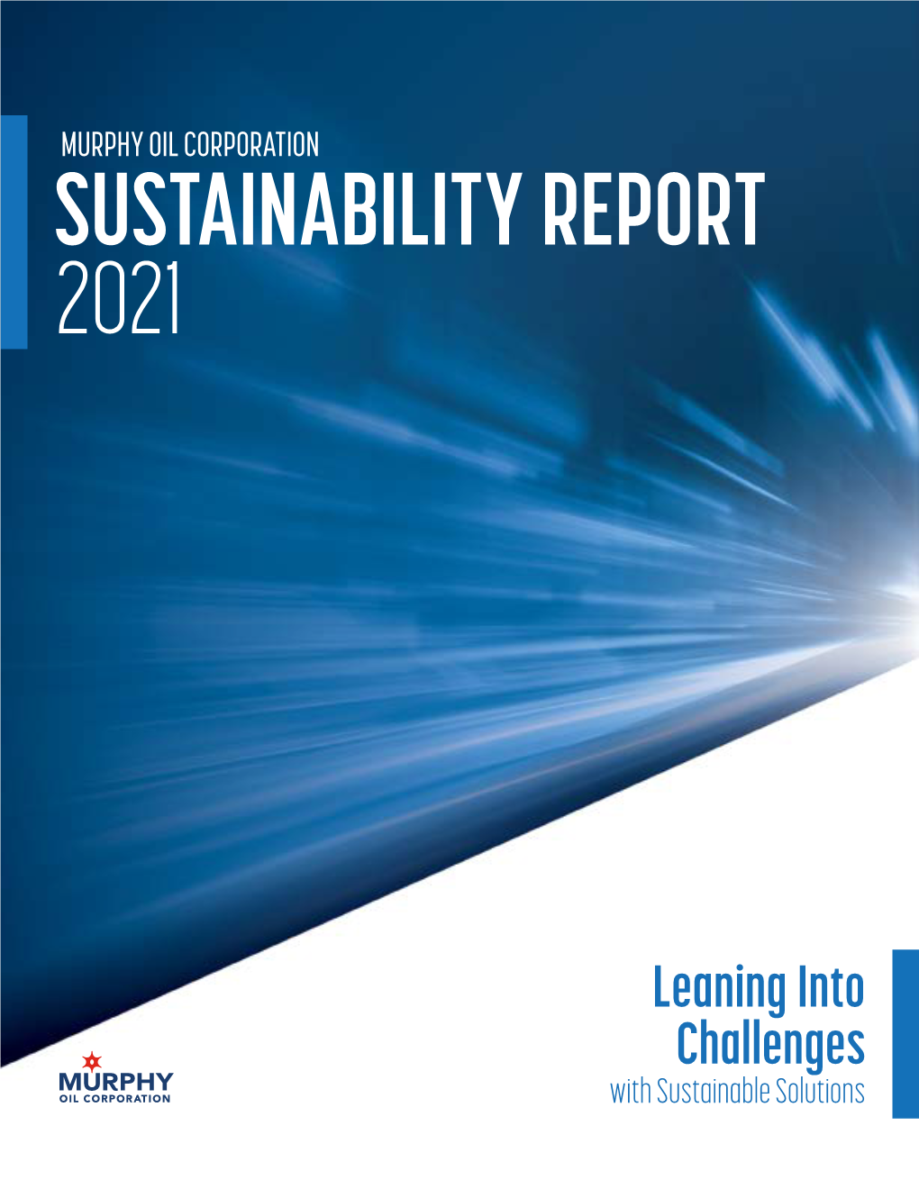 2021 SUSTAINABILITY REPORT About This Report