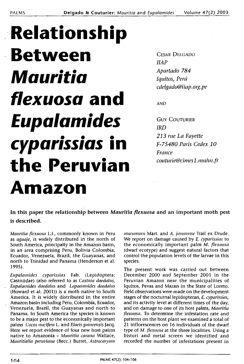 Relationship Between Mauritia Flexuosa And