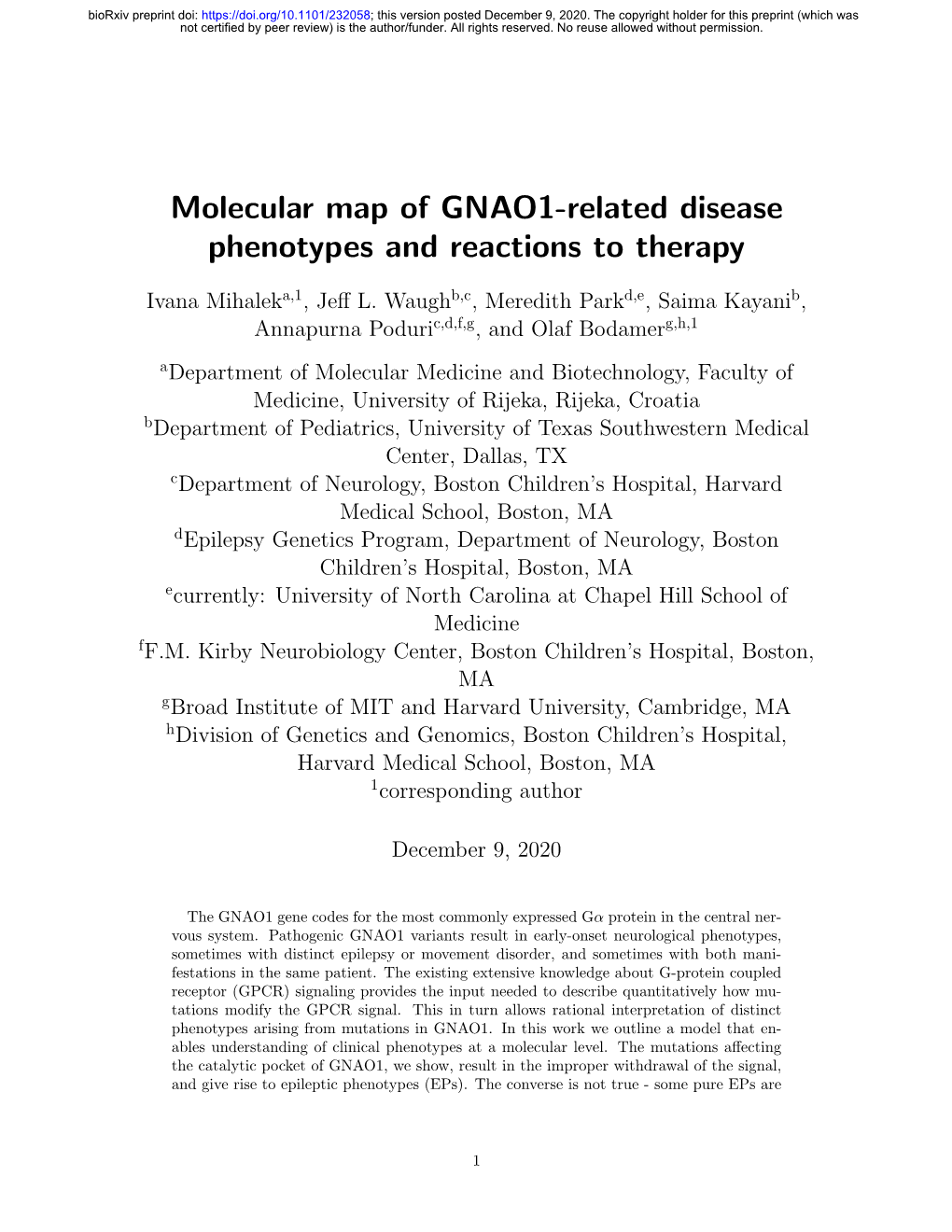 Molecular Map of GNAO1-Related Disease Phenotypes and Reactions to Therapy