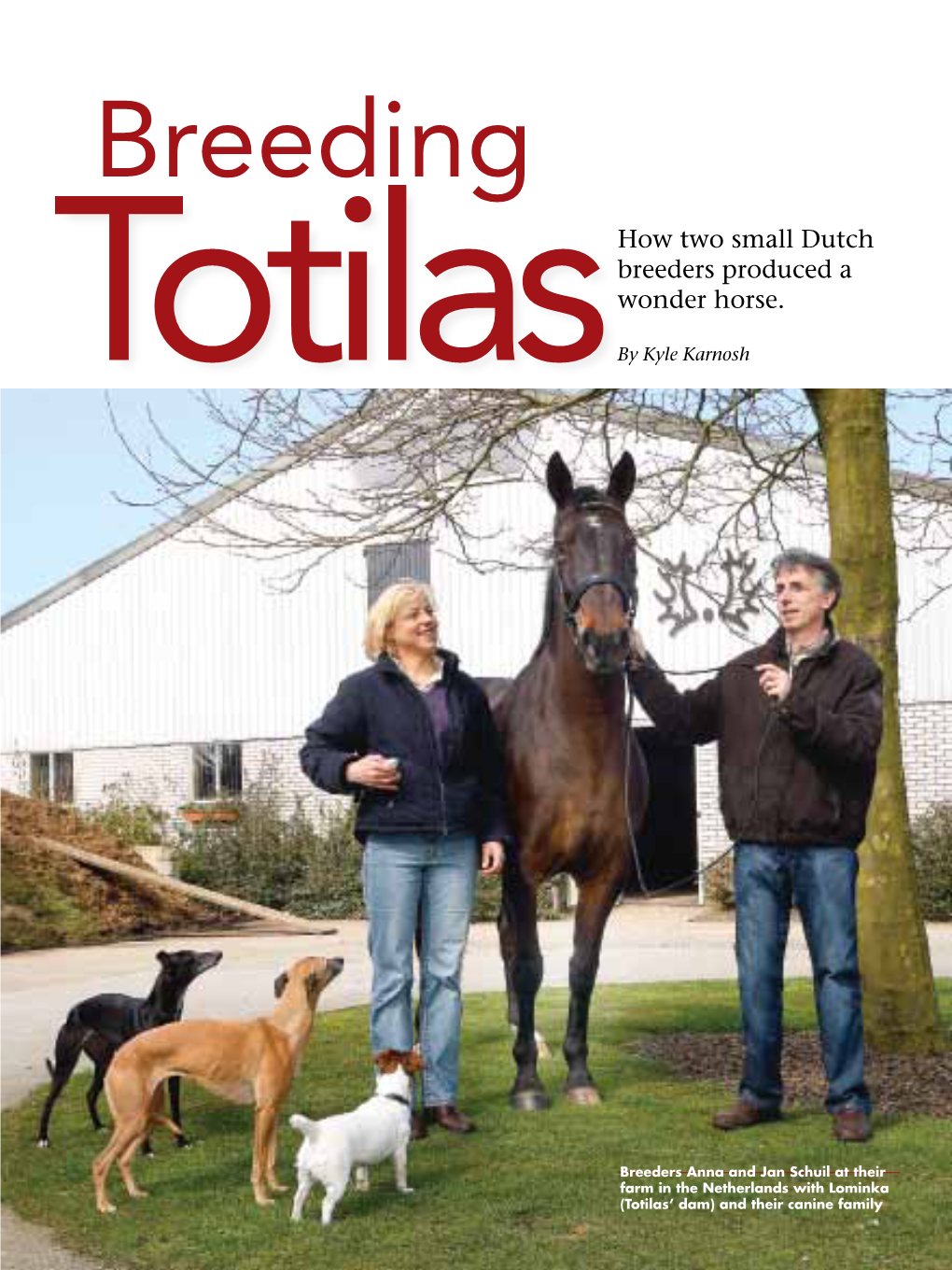 Breeding Totilas