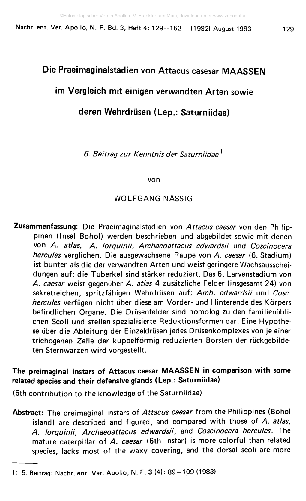 Die Praeimaginalstadien Von Attacus Casesar MAASSEN Im