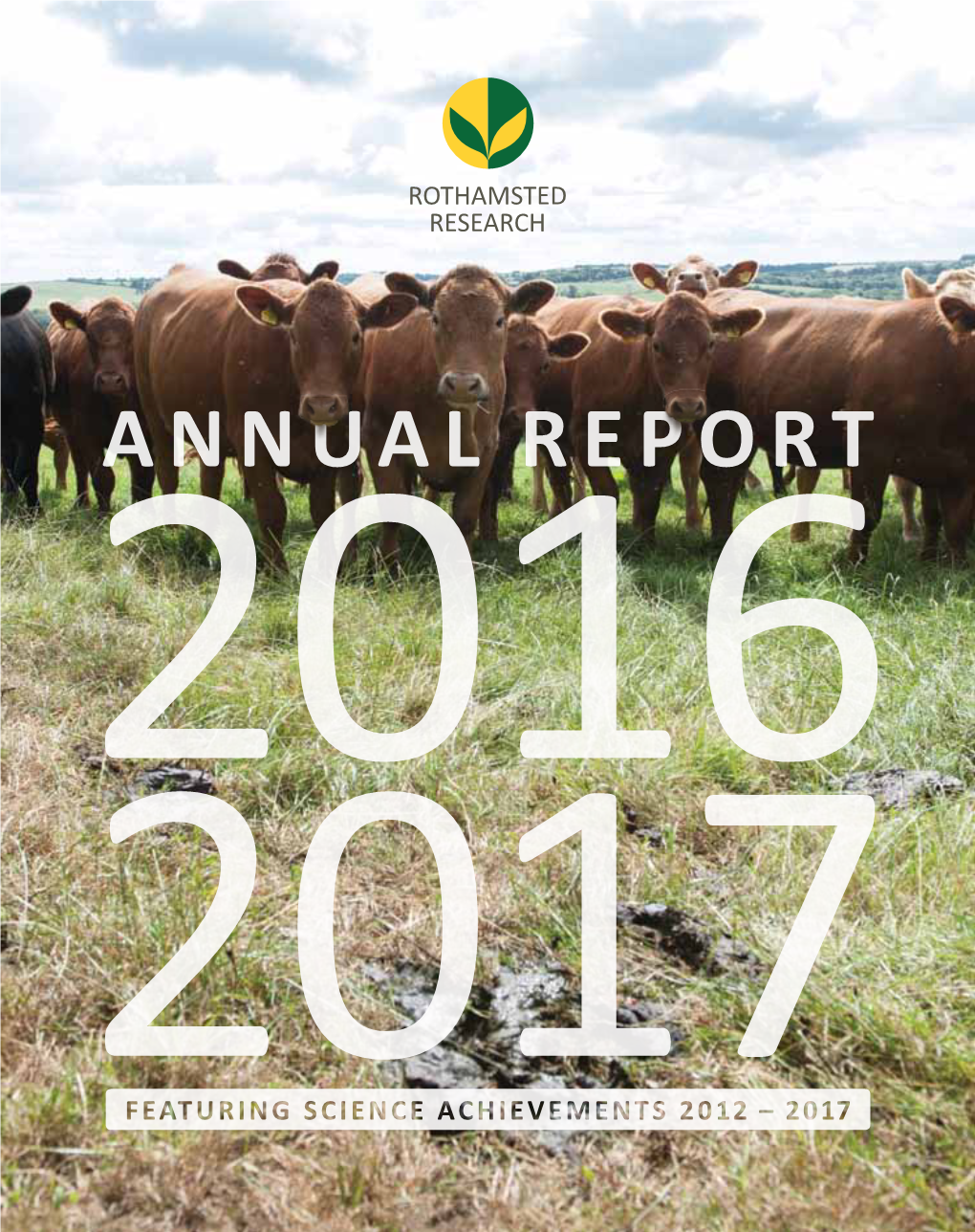 Institute's Annual Report, Released Online Today