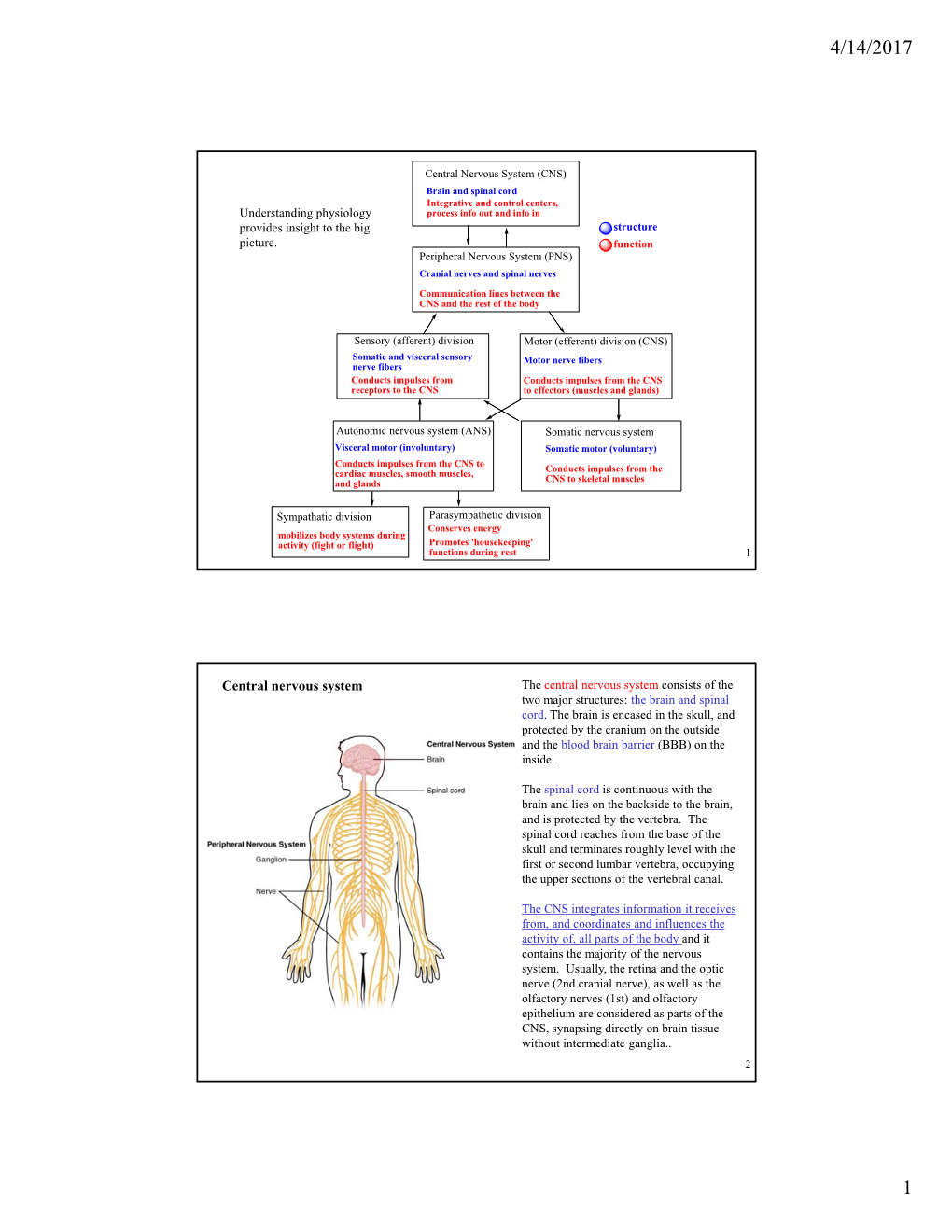 Central Nervous System