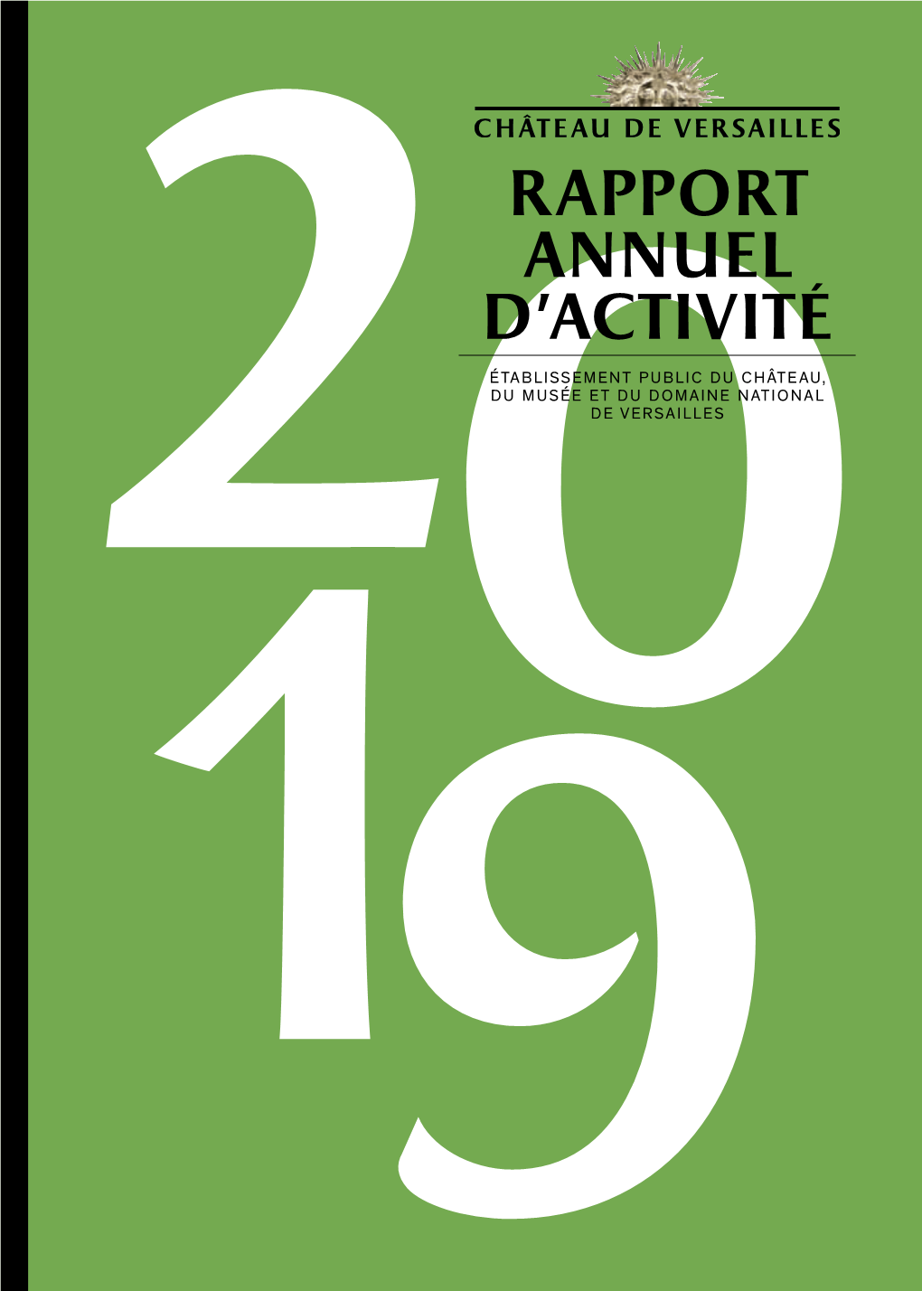 Rapport Annuel D'activité