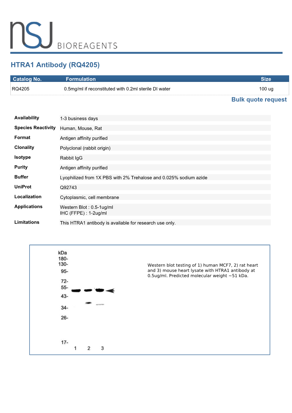 HTRA1 Antibody (RQ4205)