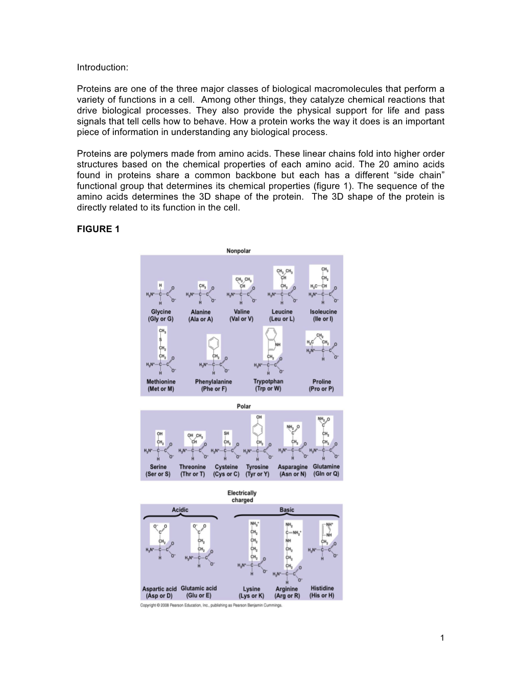 Introduction: Proteins Are One of the Three Major Classes of Biological