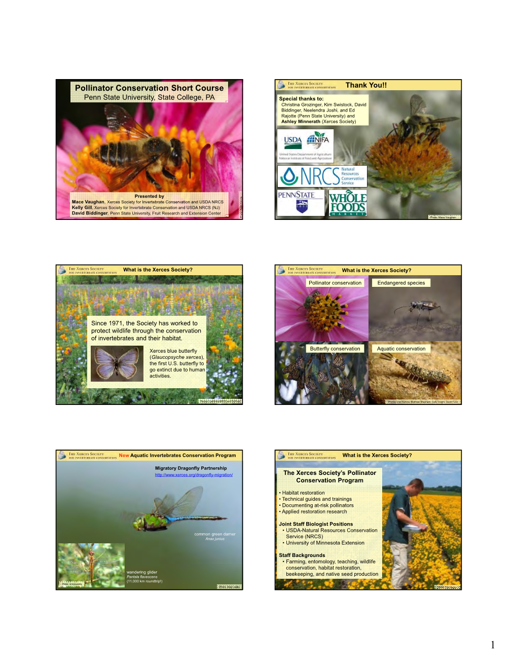 Pollinator Conservation Short Course