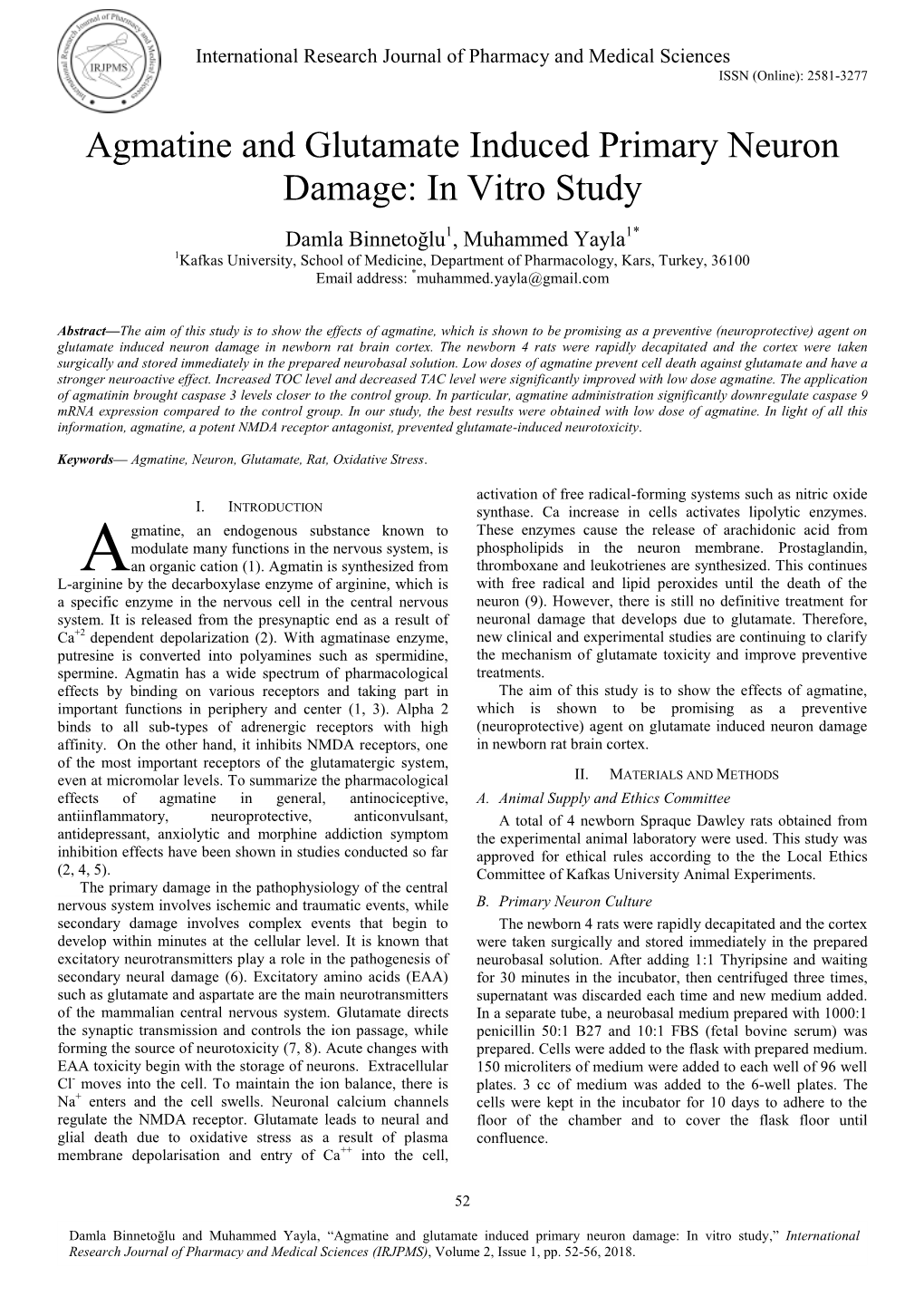 Agmatine and Glutamate Induced Primary Neuron Damage: in Vitro Study