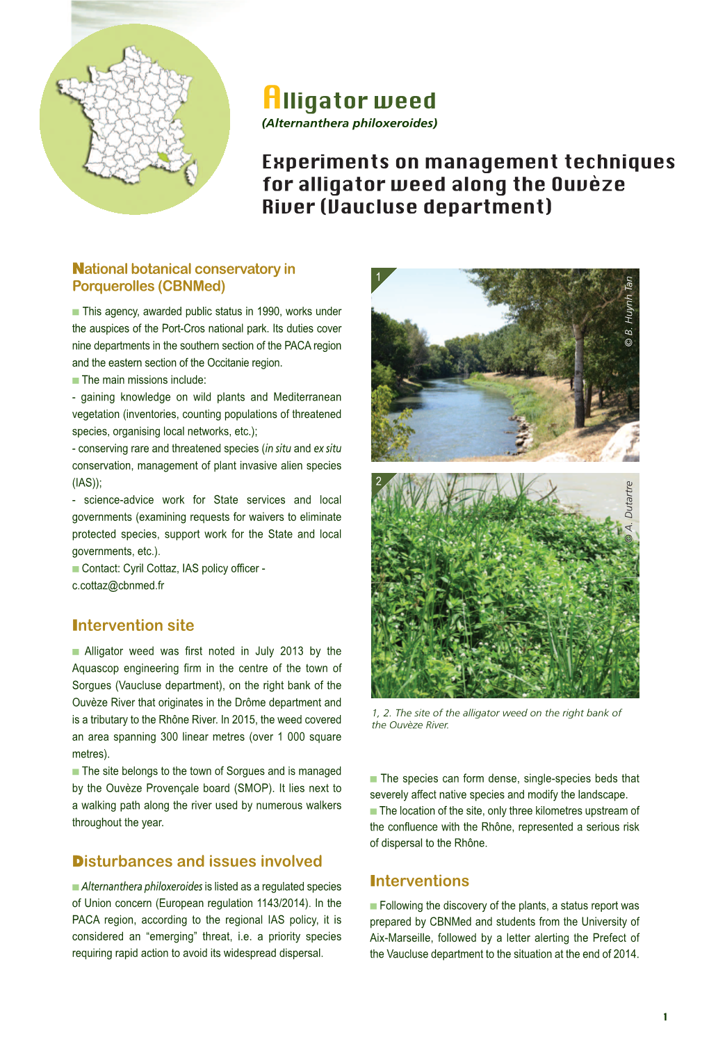 Experiments on Management Techniques for Alligator Weed Along the Ouvèze River (Vaucluse Department)