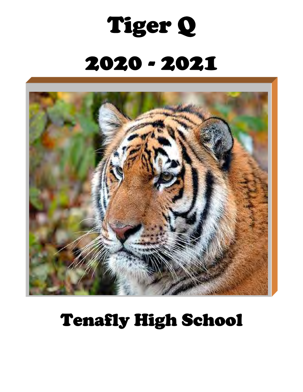 Tiger Q 2020