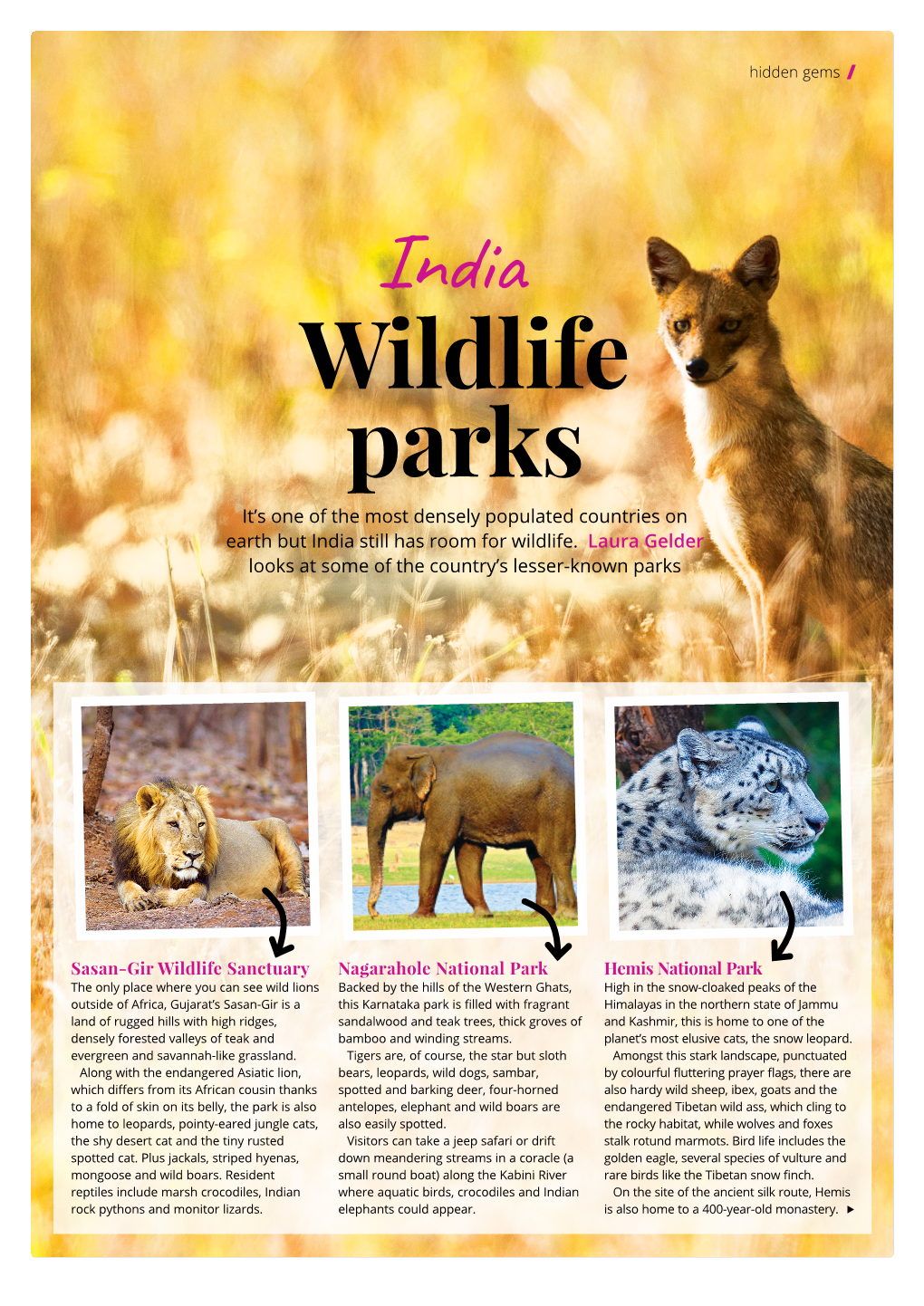 Indian Wildlife Parks