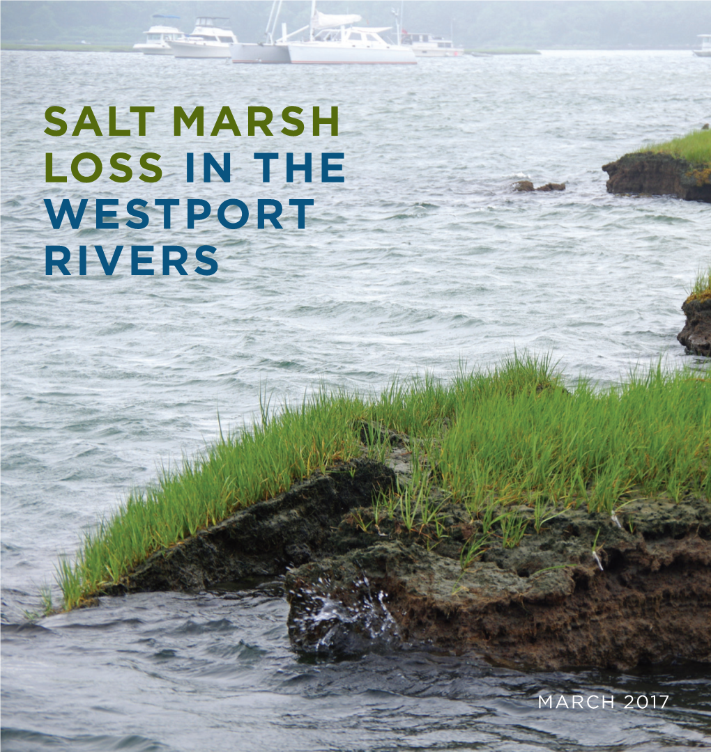 Salt Marsh Loss in the Westport Rivers