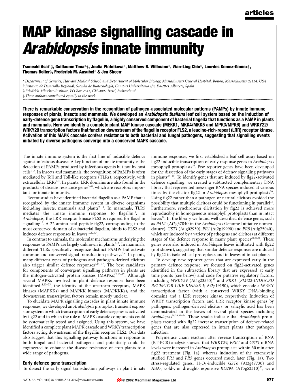 MAP Kinase Signalling Cascade in Arabidopsis Innate Immunity