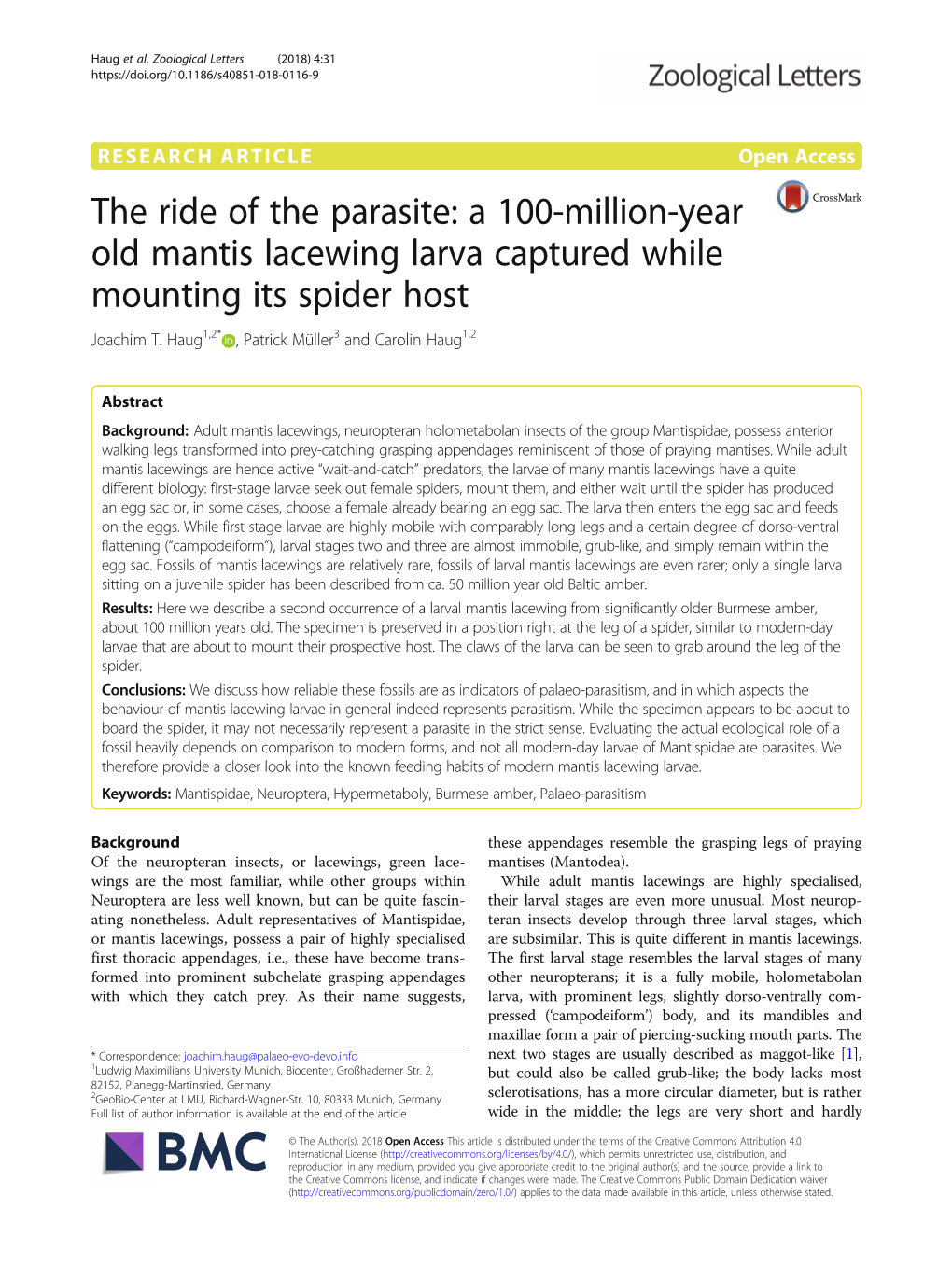 A 100-Million-Year Old Mantis Lacewing Larva Captured While Mounting Its Spider Host Joachim T