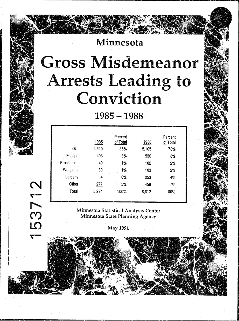 Minnesota Convicted Gross Misdemeanor Cases