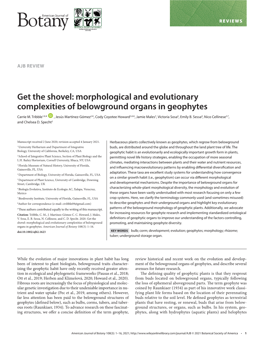 Morphological and Evolutionary Complexities of Belowground Organs in Geophytes